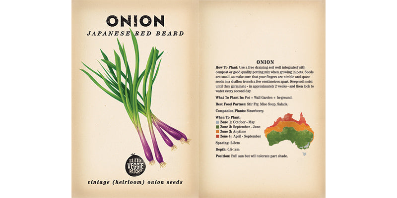 Onion 'Japanese Red Beard' Heirloom Vegetable Seeds
