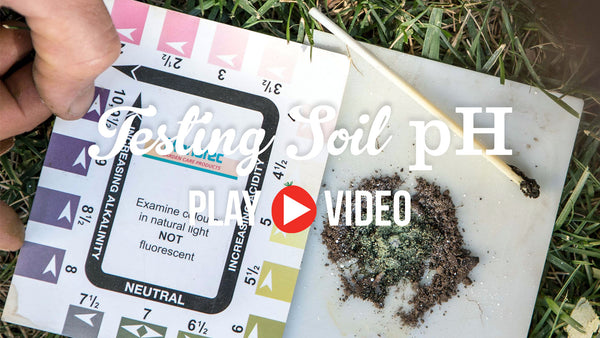 How to test soil pH