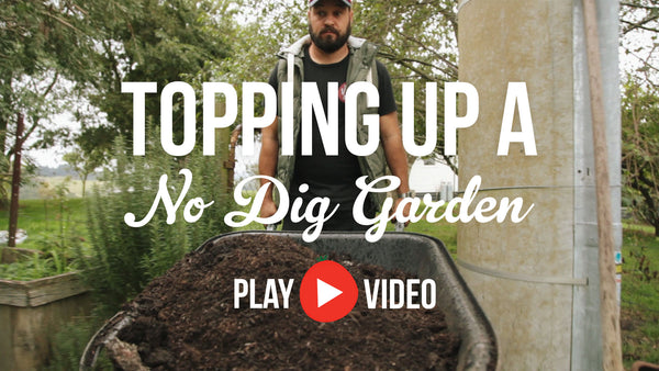 No Dig Garden: How to top it up. News from The Little Veggie Patch Co