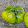 Tomato 'Aunt Ruby's Green' Heirloom Seeds