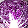 Cabbage 'Savoy Purple' Heirloom Seeds