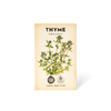 Thyme 'Common' Organic Seeds