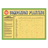 Planting Calendar + Companion Planting Chart Combo