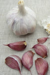 New Zealand Red Garlic