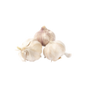 New Zealand Red Garlic