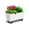 Glowpear Mini Bench Planter