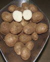Sebago Seed Potatoes