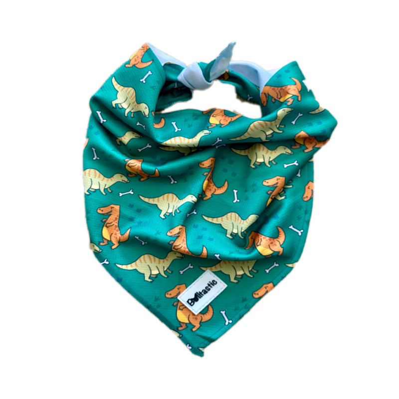 kleur Parelachtig Handig Bandana Dino - Pawtastic Dogs