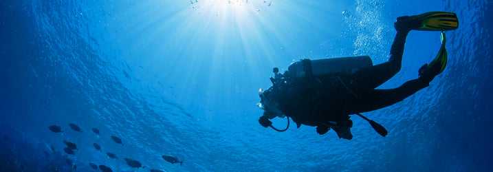 Diving in Devon