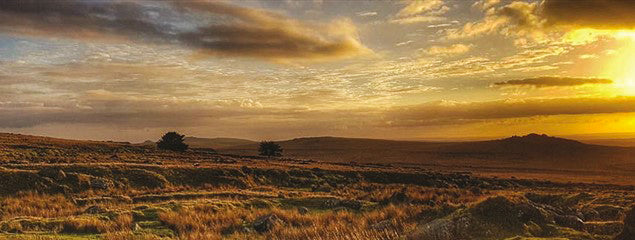 Dartmoor National Park