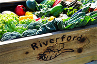 Riverford Farm Veg Box Devon