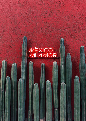 Mexico Mi Amor | Made In Mexico