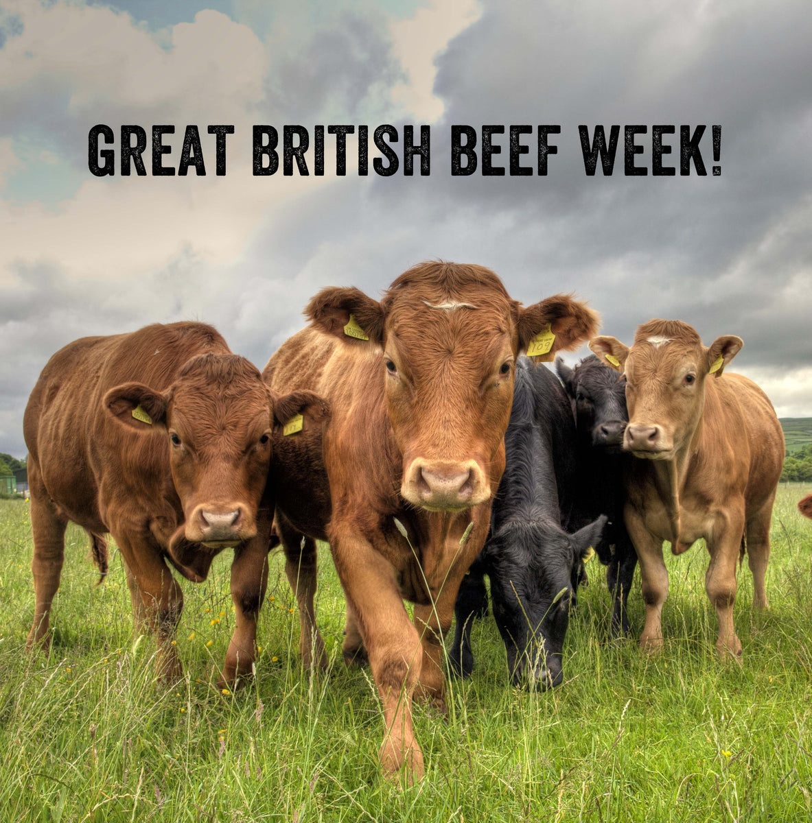 It's Great British Beef Week! meat! Premium Biltong