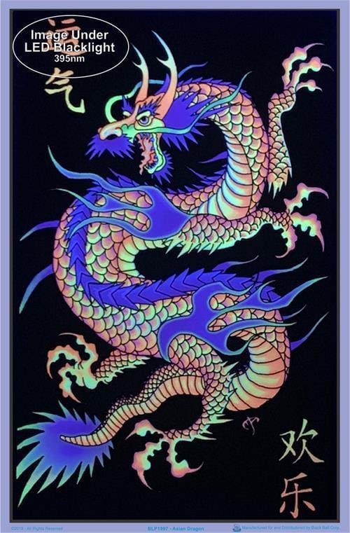 dragon poster