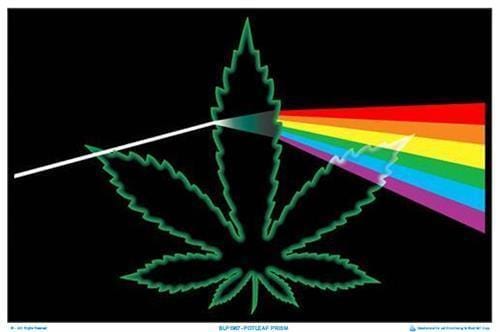 posters-pot-leaf-prism-black-light-poster-010040-11417665503285.jpg