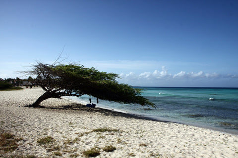 New Adventures in Aruba