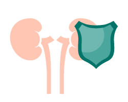 Sweat good for kidneys illustration