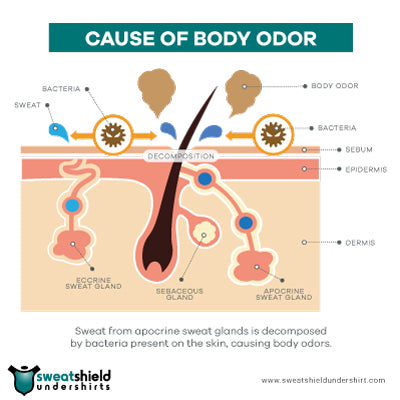 cause of body odor
