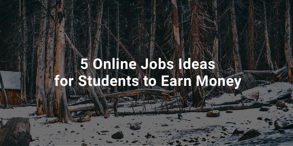 5 Online Jobs Ideas for Students to Earn Money