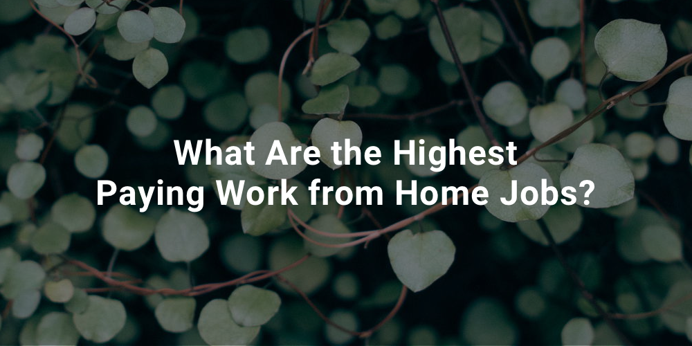 What Are the Highest Paying Work from Home Jobs?