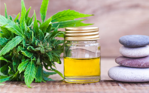 the best cbd oil