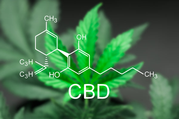 CBD oil formulation