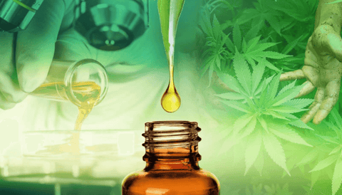 top cbd oil