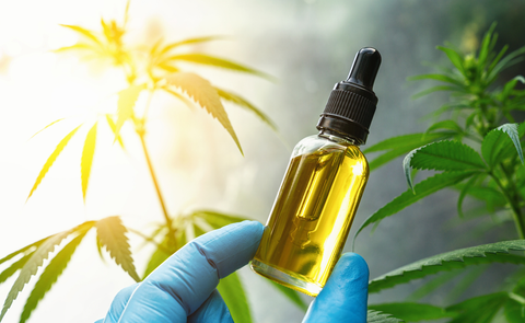 cbd oil for the health