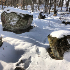 More rocks in the woods