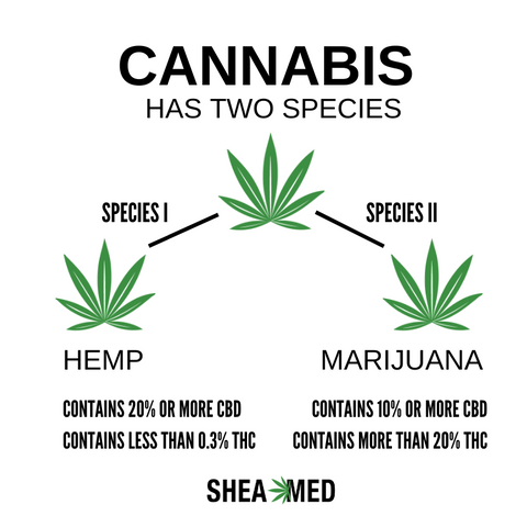 Graphic that shows two species of cannabis, hemp and marijuana, shea med uses hemp CBD