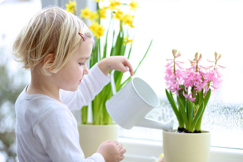 Toddler watering plant in Montessori playroom