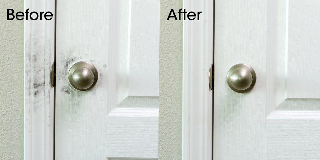 LivePure Magic Clean Disinfectant for Door Knob