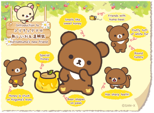 introduction to koguma korilakkuma's friend