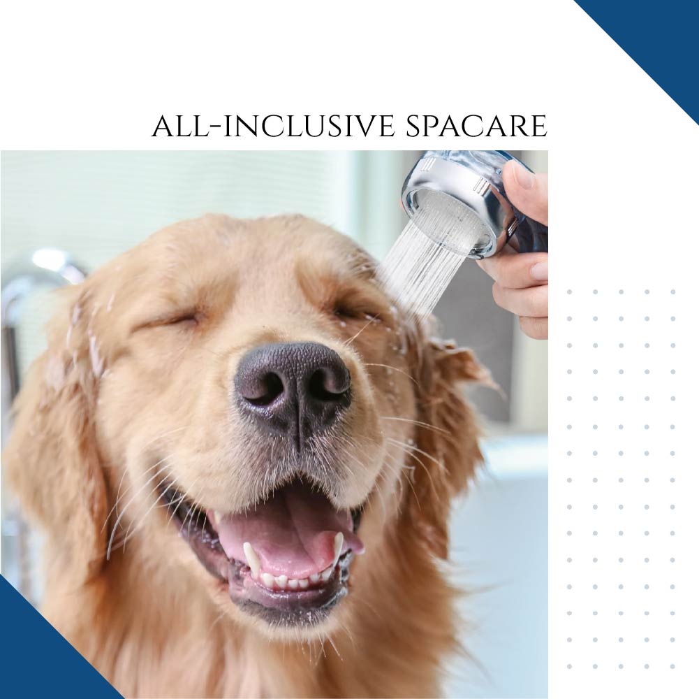 CO2 Tablet For Canine Skincare | Lactic Acid | 100 Pack