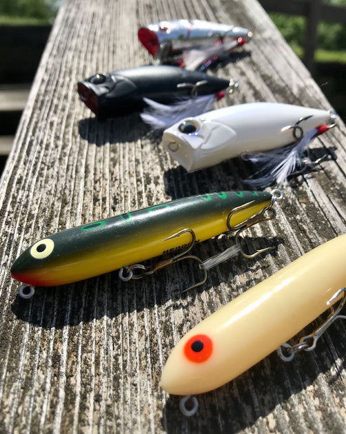 Topwater Lures That Produce Big Bass Year Round Monsterbass