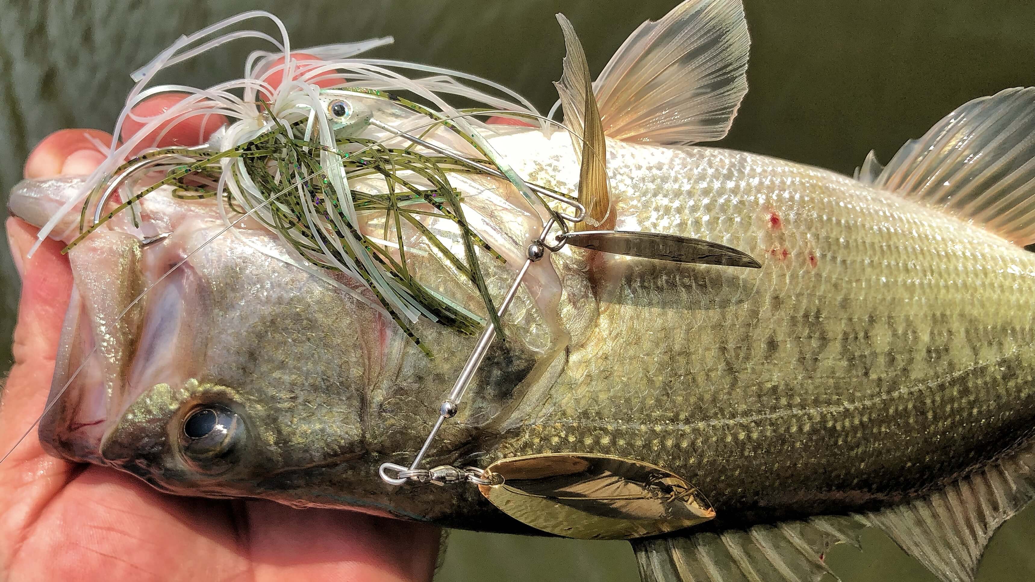 How to Tie a Spinnerbait Lure