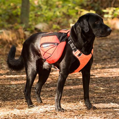 Trappenhuis meisje Wonderbaarlijk Saranac Backpack for Dogs by BAYDOG – Hiking Dog Co.