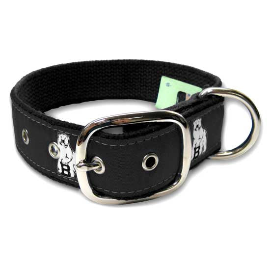 dog collar with buckle closure