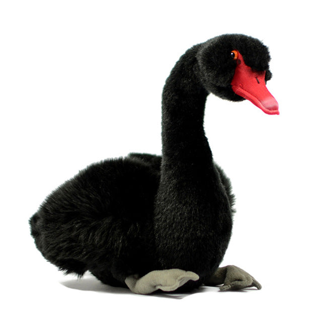 Black swan wednesday bus