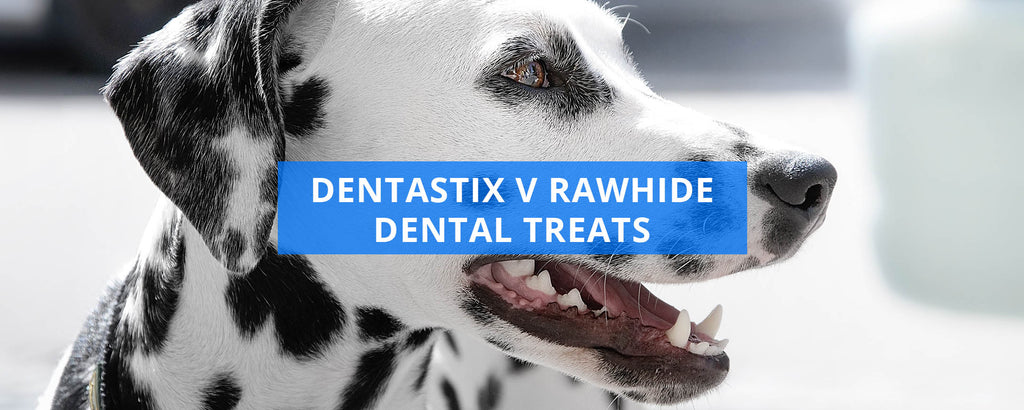 dental rawhide for dogs
