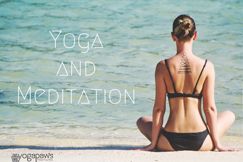 Yoga and Meditation with YogaPaws