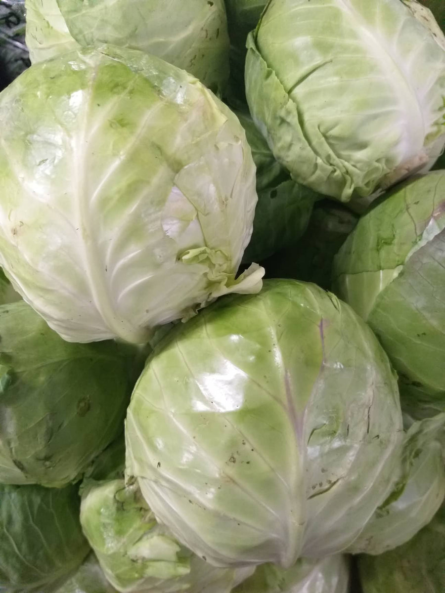 cabbage price