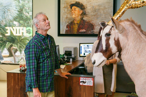 12 Epic Bill Murray Quotes and Why We Love Him - The Chivery