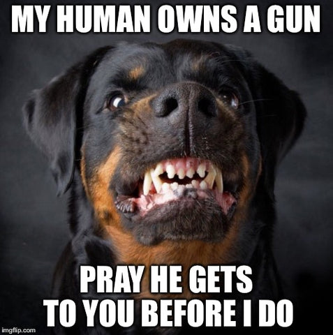 Dogs Are Better Than People - My Human Owns A Gun