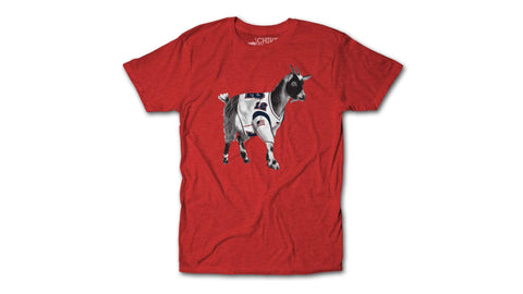 Tom Brady GOAT Shirt