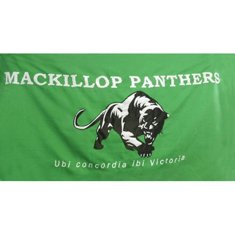 Custom School Banner Green