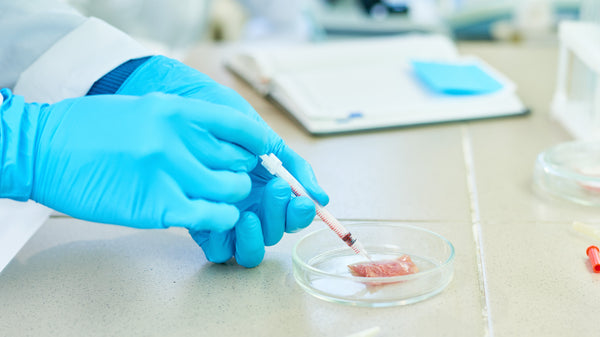 testes em laboratório cruelty free