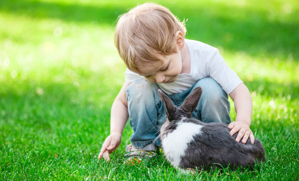 criança brincando com coelho