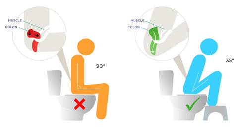 squatty potty position toilette