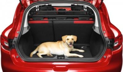 Renault Clio (4) Dog Guard/Separation 